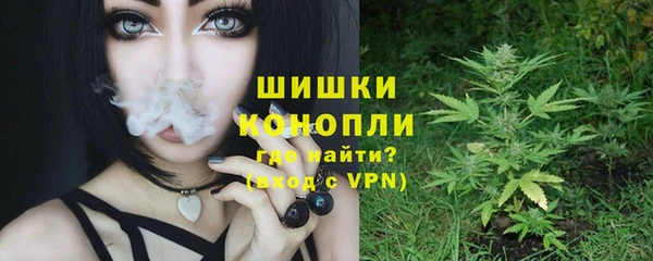 сатива Абаза