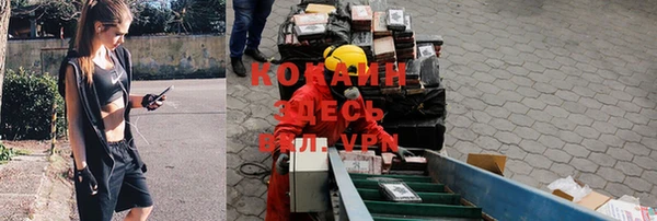 спайс Алзамай