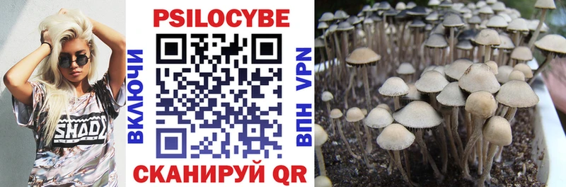 Галлюциногенные грибы Cubensis как найти нарко площадка наркотические препараты Яровое